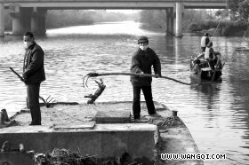 浙江嘉兴船工称官方死猪数据作假 已掩埋几万头