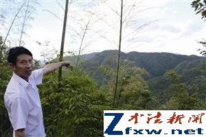 浙江千亩集体山场疑遭贱卖 7600元承包40年 